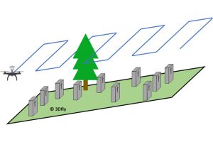 Logo Gräberplan, Friedhofsplan, Friedhofskataster, Stufenplan