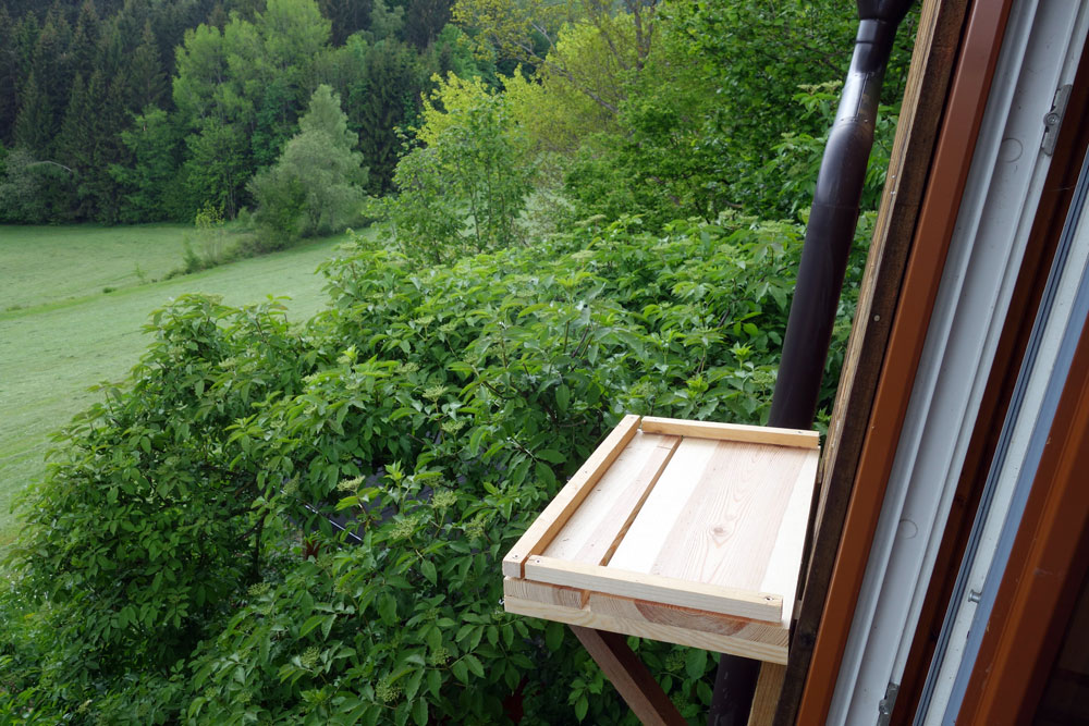 Fertige Aussichtsplattform für Turmfalken mit Nistkasten