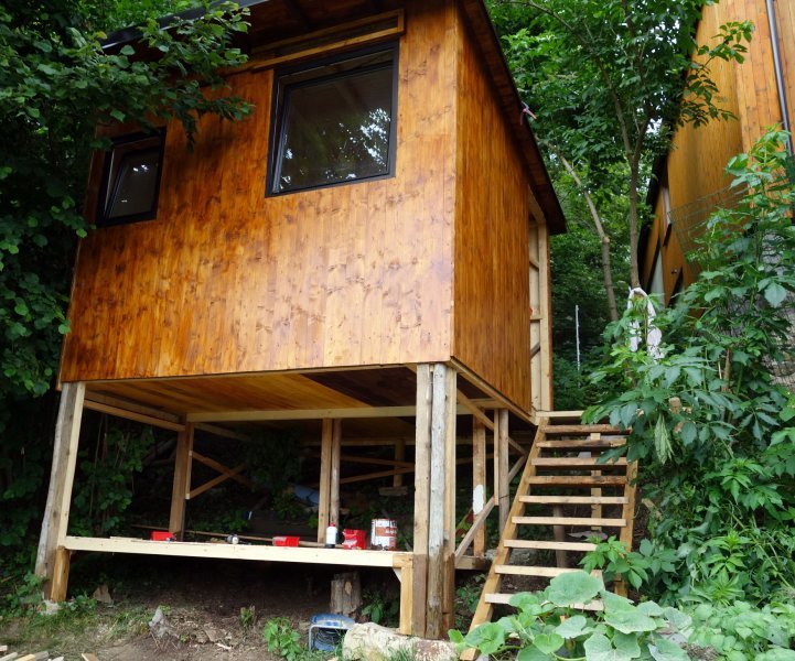 Holzhütte im Urwald