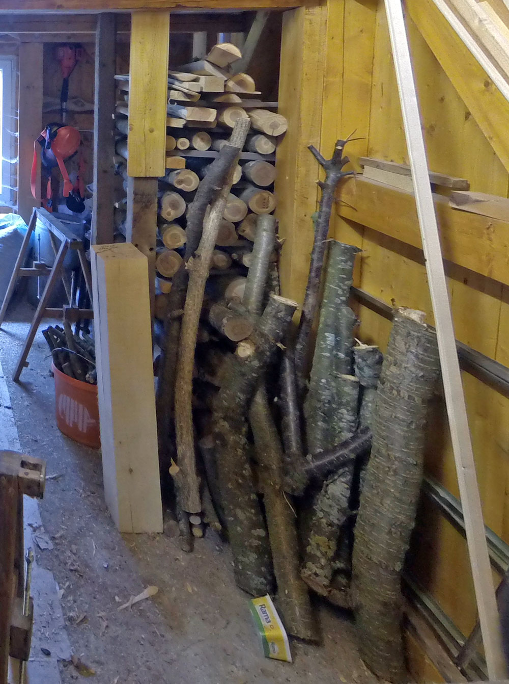 Zwischengelagertes Ebereschen-Holz