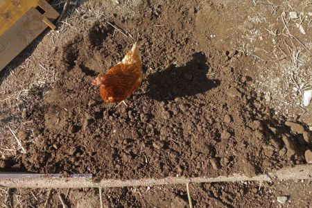 Boden 1m x 1m ebenerdig vorbereitet