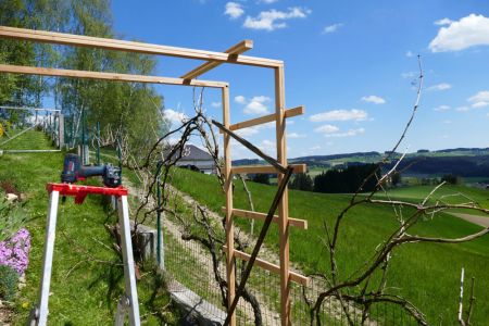 Querstreben an der Ostseite begonnen zu fixieren