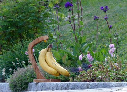 Bananen-Aufhänger